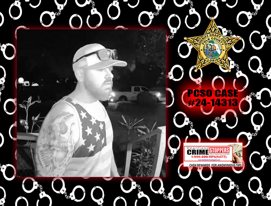 Lakeland battery suspect